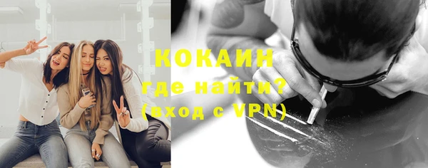 индика Армянск