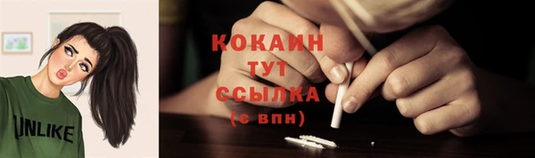индика Армянск