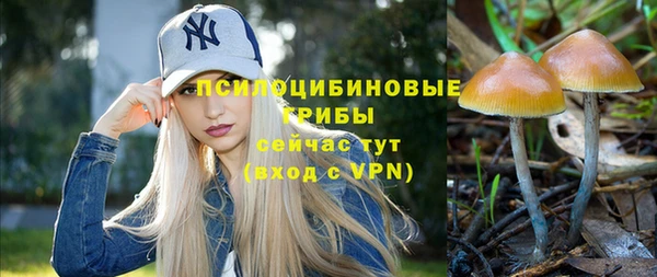 меф Арсеньев
