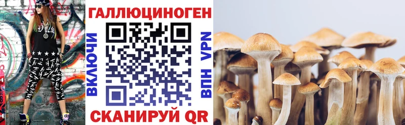 Галлюциногенные грибы GOLDEN TEACHER  Межгорье 