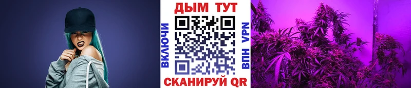 Канабис White Widow  Межгорье 